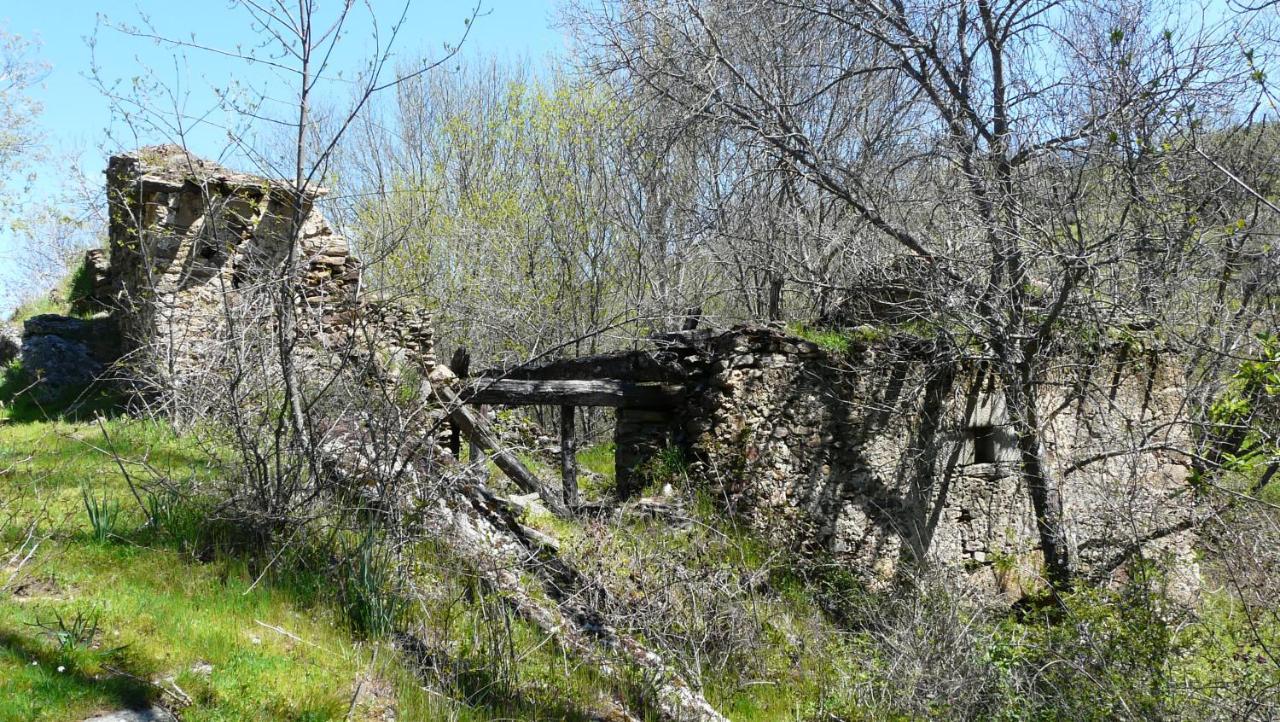 Vila El Huerto De Leon Pradena del Rincon Exteriér fotografie
