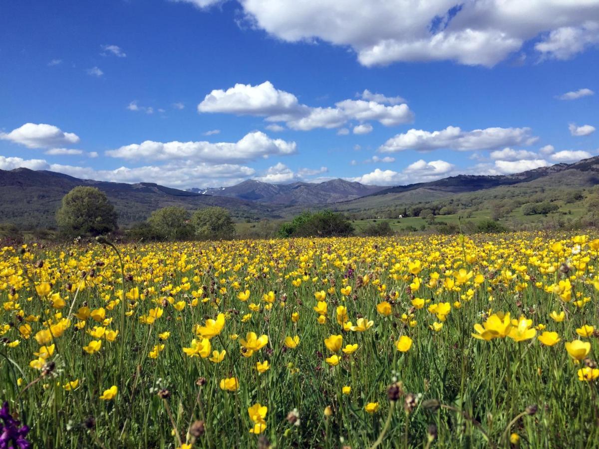 Vila El Huerto De Leon Pradena del Rincon Exteriér fotografie