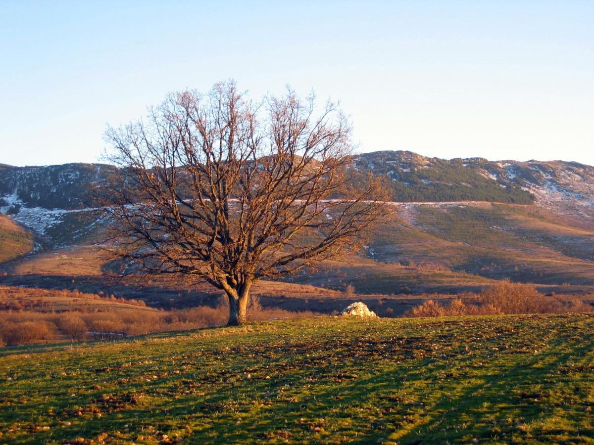 Vila El Huerto De Leon Pradena del Rincon Exteriér fotografie