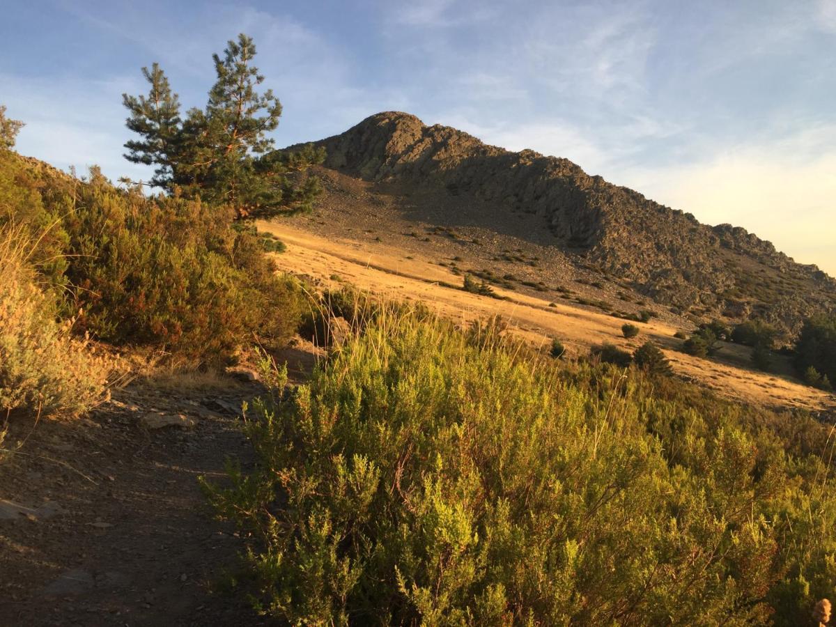 Vila El Huerto De Leon Pradena del Rincon Exteriér fotografie