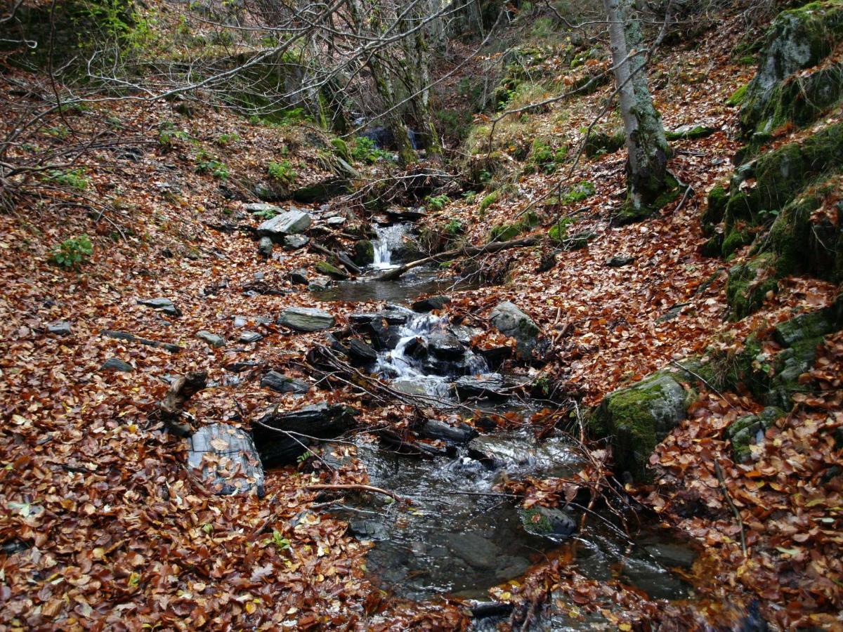 Vila El Huerto De Leon Pradena del Rincon Exteriér fotografie