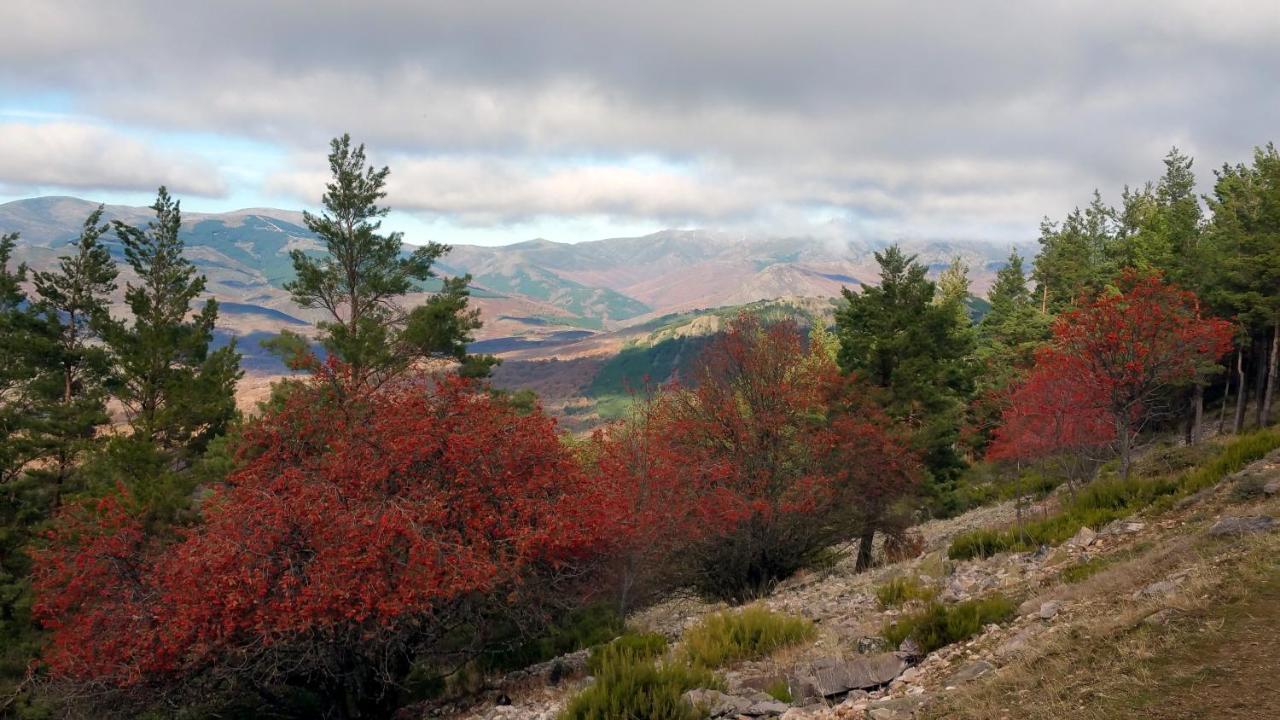 Vila El Huerto De Leon Pradena del Rincon Exteriér fotografie